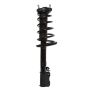 PRT PERFORMANCE RIDE 815029 PRT Complete Strut Assembly