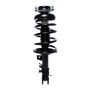 PRT PERFORMANCE RIDE 815041 PRT Complete Strut Assembly