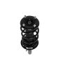 PRT PERFORMANCE RIDE 815043 PRT Complete Strut Assembly