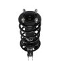 PRT PERFORMANCE RIDE 815051 PRT Complete Strut Assembly
