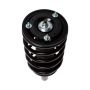 PRT PERFORMANCE RIDE 815165 PRT Complete Strut Assembly