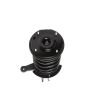 PRT PERFORMANCE RIDE 815188 PRT Complete Strut Assembly