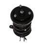 PRT PERFORMANCE RIDE 815213 PRT Complete Strut Assembly