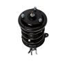 PRT PERFORMANCE RIDE 815214 PRT Complete Strut Assembly