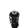 PRT PERFORMANCE RIDE 815219 PRT Complete Strut Assembly