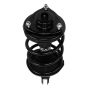 PRT PERFORMANCE RIDE 815287 PRT Complete Strut Assembly