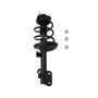 PRT PERFORMANCE RIDE 815289 PRT Complete Strut Assembly