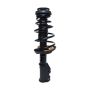 PRT PERFORMANCE RIDE 815329 PRT Complete Strut Assembly