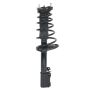 PRT PERFORMANCE RIDE 815367 PRT Complete Strut Assembly