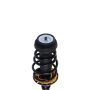 PRT PERFORMANCE RIDE 815376 PRT Complete Strut Assembly