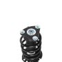 PRT PERFORMANCE RIDE 815382 PRT Complete Strut Assembly