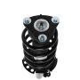 PRT PERFORMANCE RIDE 815385 PRT Complete Strut Assembly