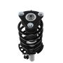 PRT PERFORMANCE RIDE 815386 PRT Complete Strut Assembly