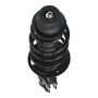 PRT PERFORMANCE RIDE 815387 PRT Complete Strut Assembly