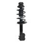 PRT PERFORMANCE RIDE 815387 PRT Complete Strut Assembly