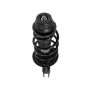 PRT PERFORMANCE RIDE 815388 PRT Complete Strut Assembly