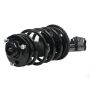 PRT PERFORMANCE RIDE 815394 PRT Complete Strut Assembly
