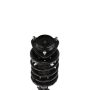 PRT PERFORMANCE RIDE 815841 PRT Complete Strut Assembly