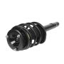 PRT PERFORMANCE RIDE 815905 PRT Complete Strut Assembly