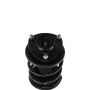 PRT PERFORMANCE RIDE 815909 PRT Complete Strut Assembly