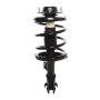 PRT PERFORMANCE RIDE 815909 PRT Complete Strut Assembly