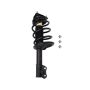 PRT PERFORMANCE RIDE 815914 PRT Complete Strut Assembly