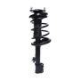 PRT PERFORMANCE RIDE 815925 PRT Complete Strut Assembly