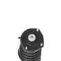 PRT PERFORMANCE RIDE 815927 PRT Complete Strut Assembly
