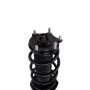 PRT PERFORMANCE RIDE 815982 PRT Complete Strut Assembly