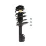 PRT PERFORMANCE RIDE 816054 PRT Complete Strut Assembly