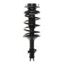 PRT PERFORMANCE RIDE 816084 PRT Complete Strut Assembly