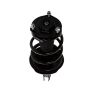 PRT PERFORMANCE RIDE 816087 PRT Complete Strut Assembly