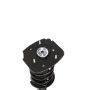 PRT PERFORMANCE RIDE 816101 PRT Complete Strut Assembly