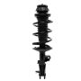PRT PERFORMANCE RIDE 816189 PRT Complete Strut Assembly