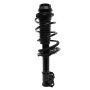 PRT PERFORMANCE RIDE 816189 PRT Complete Strut Assembly