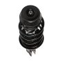PRT PERFORMANCE RIDE 816327 PRT Complete Strut Assembly