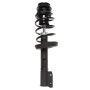 PRT PERFORMANCE RIDE 816327 PRT Complete Strut Assembly