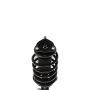 PRT PERFORMANCE RIDE 816333 PRT Complete Strut Assembly