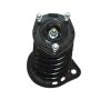 PRT PERFORMANCE RIDE 816336 PRT Complete Strut Assembly