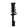 PRT PERFORMANCE RIDE 816336 PRT Complete Strut Assembly