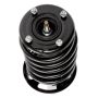 PRT PERFORMANCE RIDE 816339 PRT Complete Strut Assembly