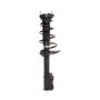 PRT PERFORMANCE RIDE 816342 PRT Complete Strut Assembly