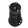 PRT PERFORMANCE RIDE 816347 PRT Complete Strut Assembly