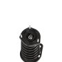 PRT PERFORMANCE RIDE 816348 PRT Complete Strut Assembly