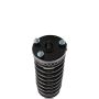 PRT PERFORMANCE RIDE 816349 PRT Complete Strut Assembly