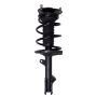 PRT PERFORMANCE RIDE 816373 PRT Complete Strut Assembly