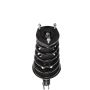 PRT PERFORMANCE RIDE 816379 PRT Complete Strut Assembly
