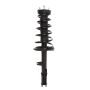 PRT PERFORMANCE RIDE 816379 PRT Complete Strut Assembly