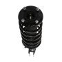 PRT PERFORMANCE RIDE 816387 PRT Complete Strut Assembly
