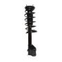 PRT PERFORMANCE RIDE 816387 PRT Complete Strut Assembly